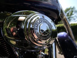 Treffen 2011