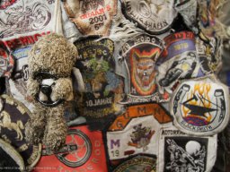 Treffen 2013