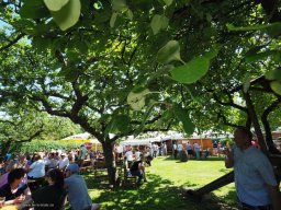 Treffen 2017
