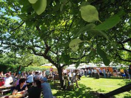 Treffen 2017